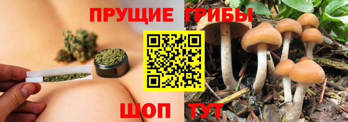 Галлюциногенные грибы мухоморы  Вход с VPN  Отрадный  Галлюциногенные грибы мухоморы 